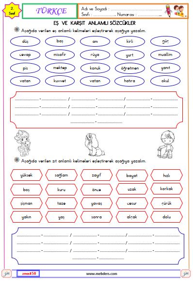 2. Sınıf Türkçe Eş Anlamlı ve Zıt Anlamlı Kelimeler Etkinliği